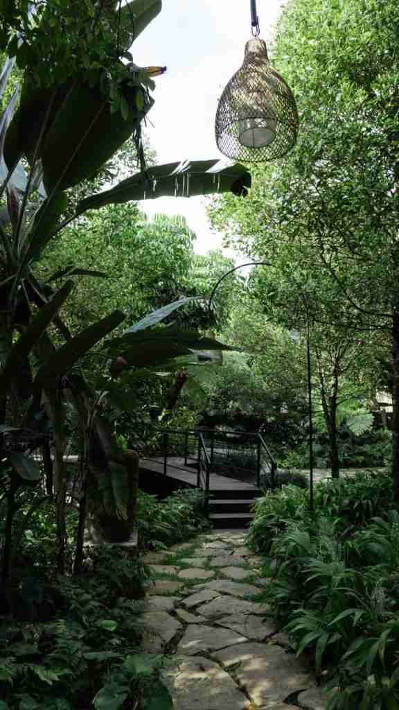 Stone pathway winding through the jungle at Munduk Cabins, Bali — serene retreat grounds featured on Bohemian Bela.