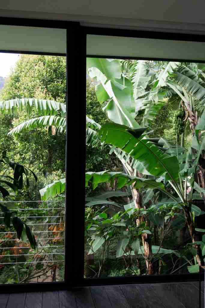 Bright hotel room at Munduk Cabins with large windows opening to lush jungle views — a tranquil mountain escape on Bohemian Bela.