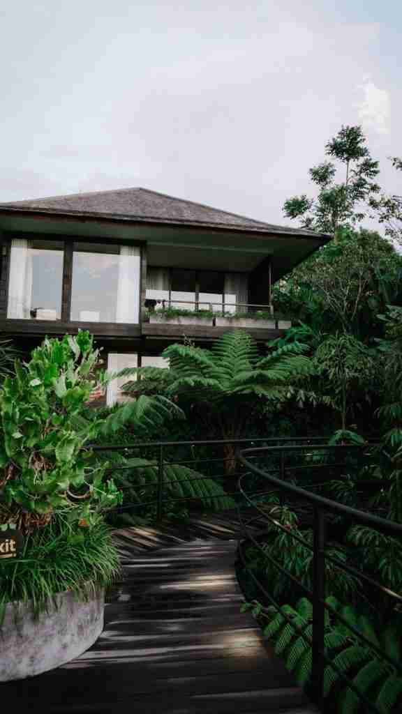 Exterior view of a wooden cabin at Munduk Cabins surrounded by lush greenery — tranquil jungle retreat featured on Bohemian Bela.