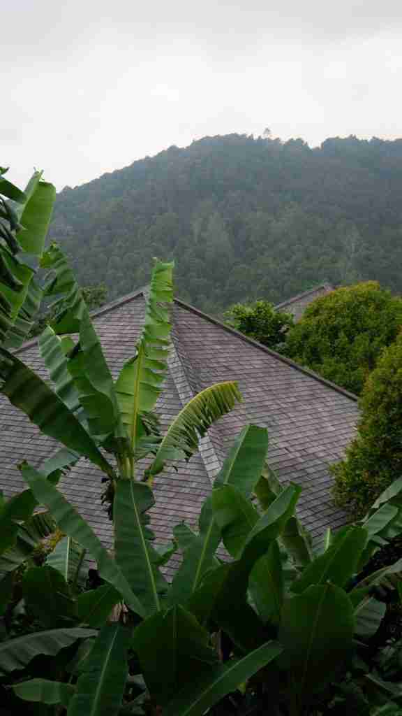 Exterior view of a wooden cabin at Munduk Cabins surrounded by Bali’s lush forest — a peaceful nature retreat featured on Bohemian Bela.