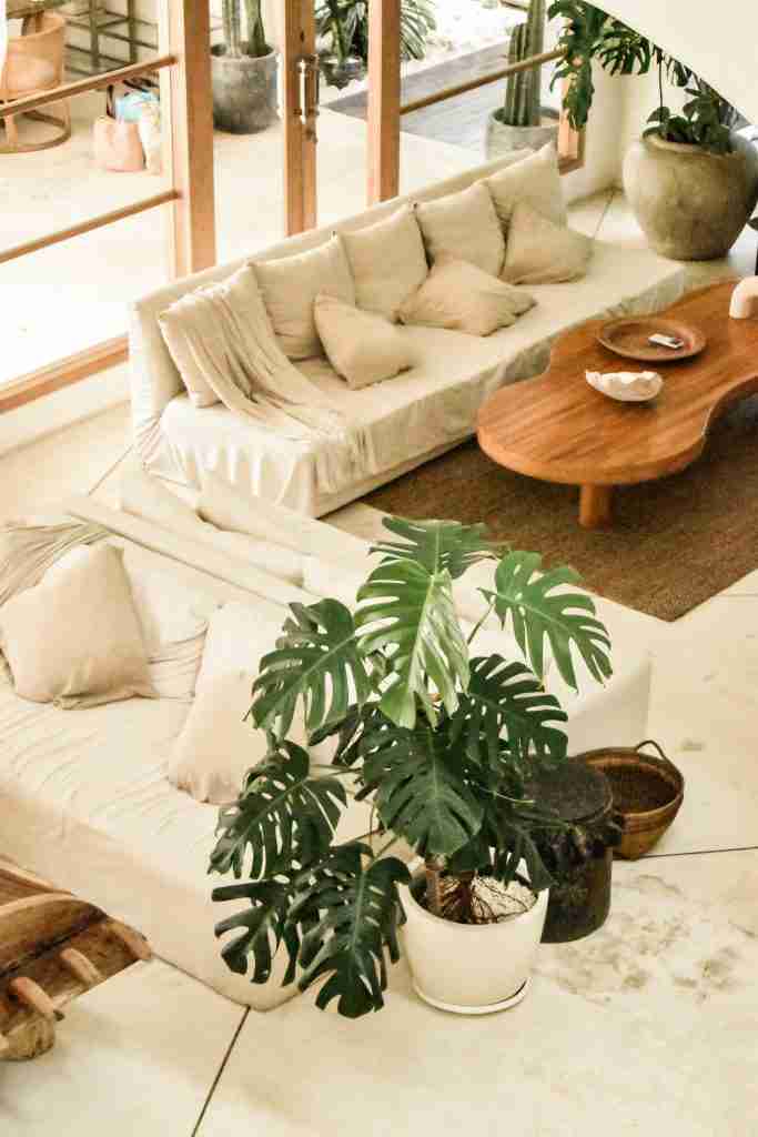 The welcoming and chic lobby of Hotel Sages, featuring stylish furniture and modern design elements. Keywords: Hotel Sages, lobby, chic, modern design, Bali.