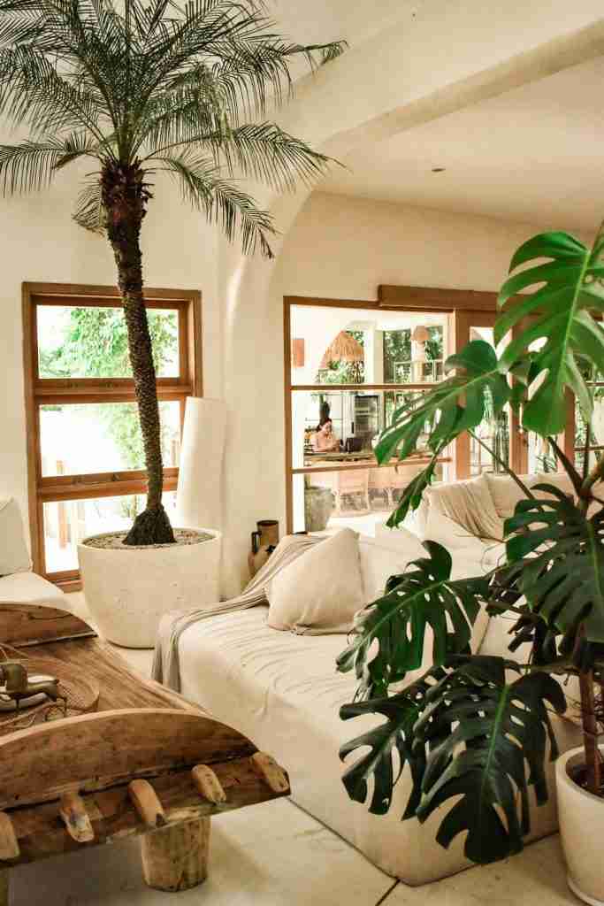 Exterior view of Hotel Sages in Canggu, Bali, showcasing its modern architecture surrounded by tropical greenery, offering a stylish and comfortable stay.