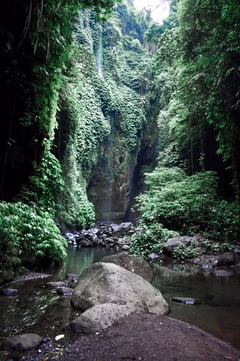 Munduk Bali waterfall hike, munduk waterfall bali, best waterfalls north bali, hiking to air terjun munduk, scenic views munduk bali, hidden waterfalls bali, amazing places to visit in munduk bali.